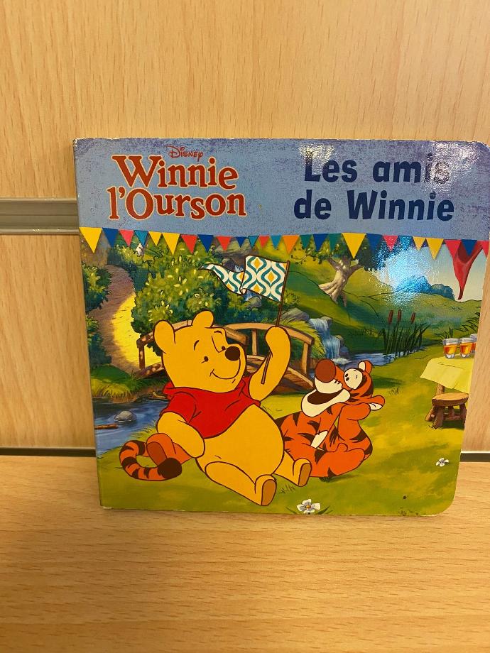 Disney/Les amis de Winnie (LI43)